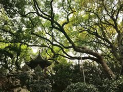 -绮园景区