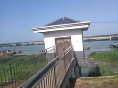 -合肥滨湖国家森林公园