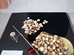 -银川河东国际机场