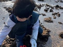 -临高角