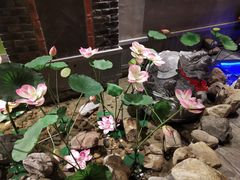 -小龙坎老火锅(红旗街店)