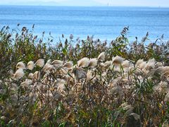 -东山风景区(洞庭东山)