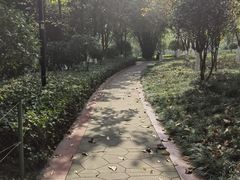 -龙头寺公园