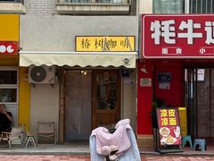 -椿树咖啡