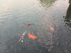 -深业半汤御泉庄温泉