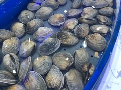 -澜悦港海鲜体验主题餐厅