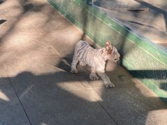 -秦皇岛野生动物园