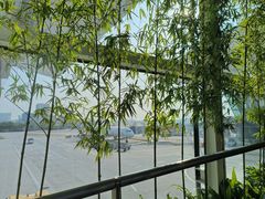 -苏小糖(T4航站楼店)
