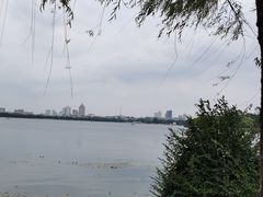 -长春市南湖公园