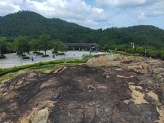 -广州白江湖森林公园