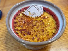 焦糖布丁-猫小主咖啡·猫咖cat cafe(福田店)