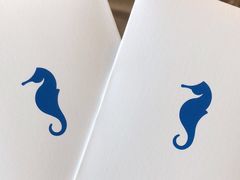 -海马体照相馆(南京虹悦城店)