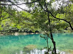 -石台牯牛降景区