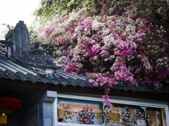 -深圳国际园林花卉博览园