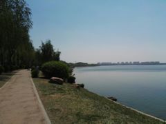 -丁香湖公园