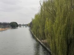 -高东镇樱花园