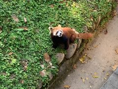 -西安秦岭野生动物园