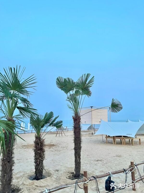 巧克力渔家.小船海鲜胶东菜(万平口店)图片