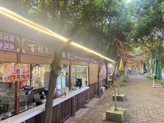 -百林岛梦里水乡