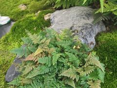 -上海植物园-4号门售票处