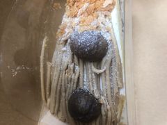 -Peet's Coffee皮爷咖啡(德基店)