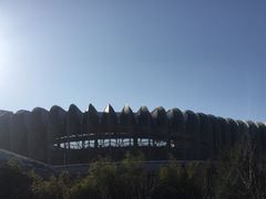 -奥体中心游泳馆