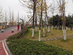 -府河摄影公园