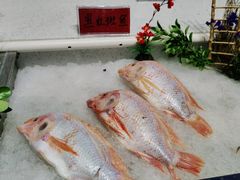 -蓝珊甄选海鲜自助·火锅大排档(近阿那亚店)