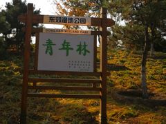-东郊湿地公园