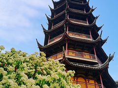 -红梅公园