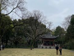 -汇龙潭