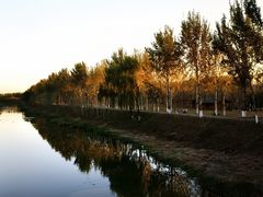 -东郊湿地公园