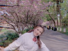 -圩墩遗址公园