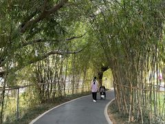 -四海公园(南山区)