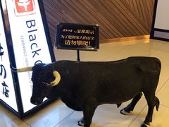 -黑牛の店·和牛烧肉(大悦城店)