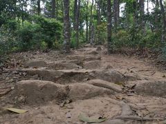 -梧桐山风景名胜区