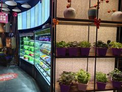 -番食园鲜食火锅(高新店)