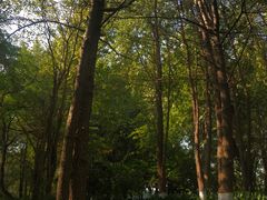 -桂林两江四湖景区