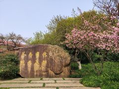 -中国茶叶博物馆(双峰馆区)