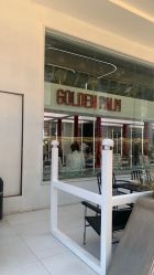 点击看大图 -金棕榈