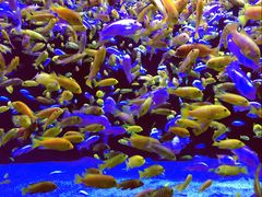 -成都浩海立方海洋公园