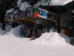-北海道神宫
