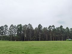 景点-天府芙蓉园