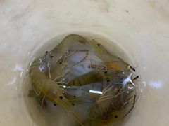 -小象钓虾·营地烧烤(洛溪店)