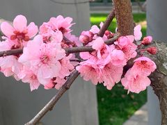 -静安雕塑公园