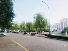-青岛大学(金家岭校区)