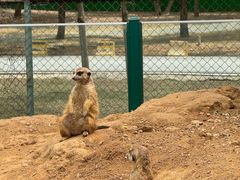 -秦皇岛野生动物园