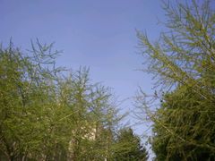 android_upload_pic-辽宁大学(崇山校区)