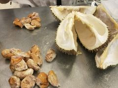 -都念榴莲·城市榴莲