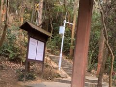 -水濂山森林公园